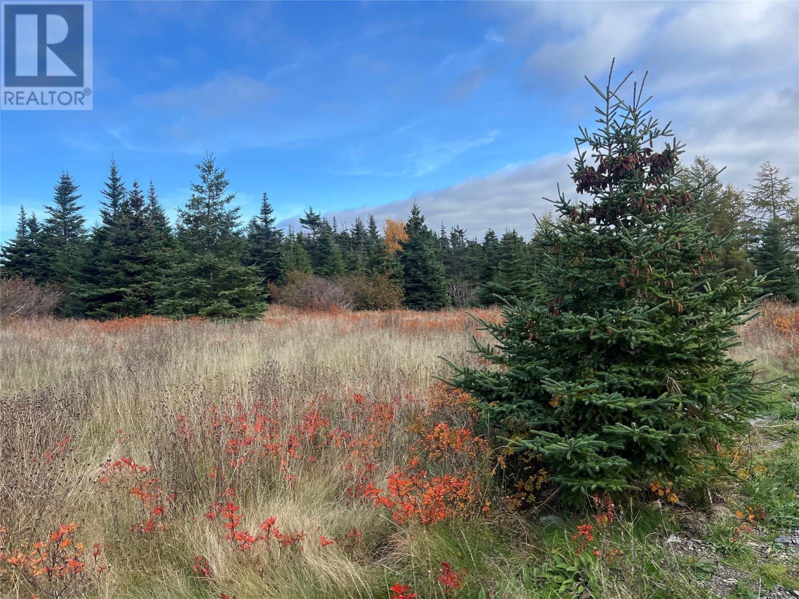 17-25 Bay Ridge Road, Ferryland, Newfoundland & Labrador  A0A 2H0 - Photo 2 - 1292248