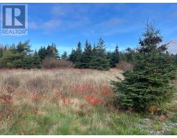 17-25 Bay Ridge Road, Ferryland, Newfoundland & Labrador