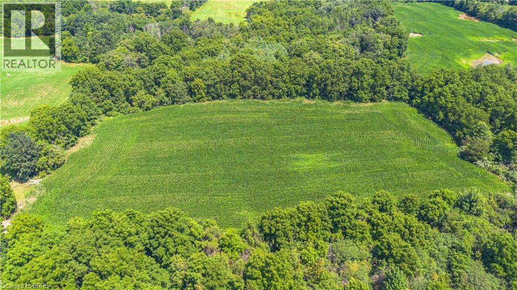 149 Cockshutt Road W, Brantford, Ontario  N3T 5L6 - Photo 11 - 40692138