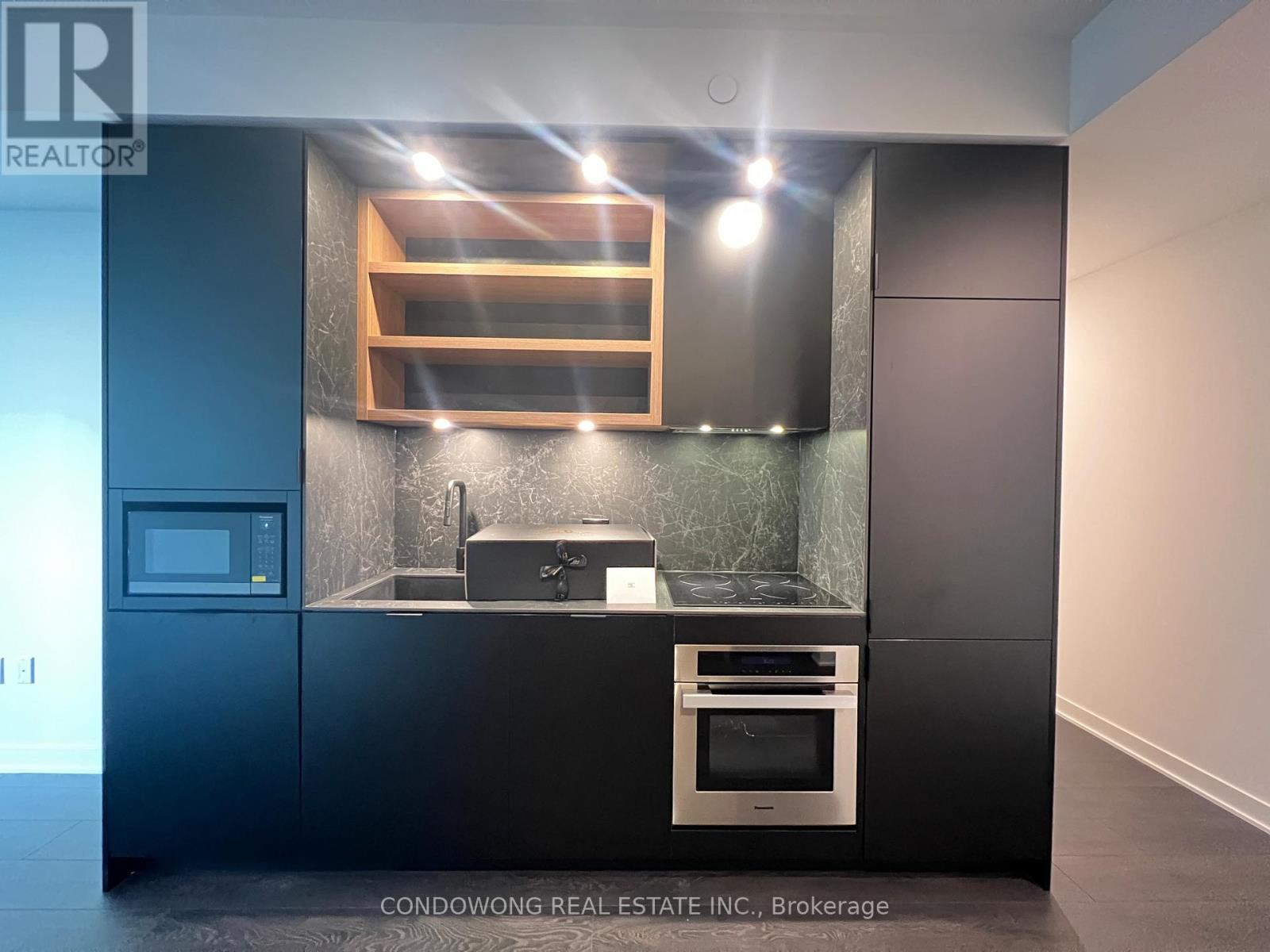 4307 - 55 Charles Street E, Toronto, Ontario  M4Y 0J1 - Photo 4 - C12613432