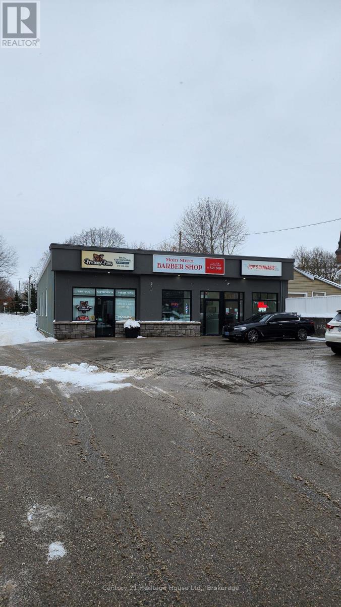 286 Main Street S, Wellington North (Mount Forest), Ontario  N0G 2L0 - Photo 2 - X12613490