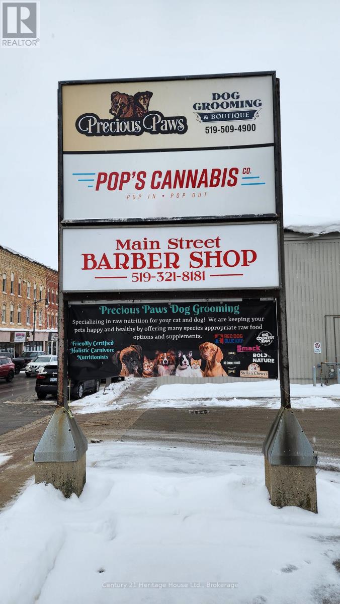 286 Main Street S, Wellington North (Mount Forest), Ontario  N0G 2L0 - Photo 5 - X12613490