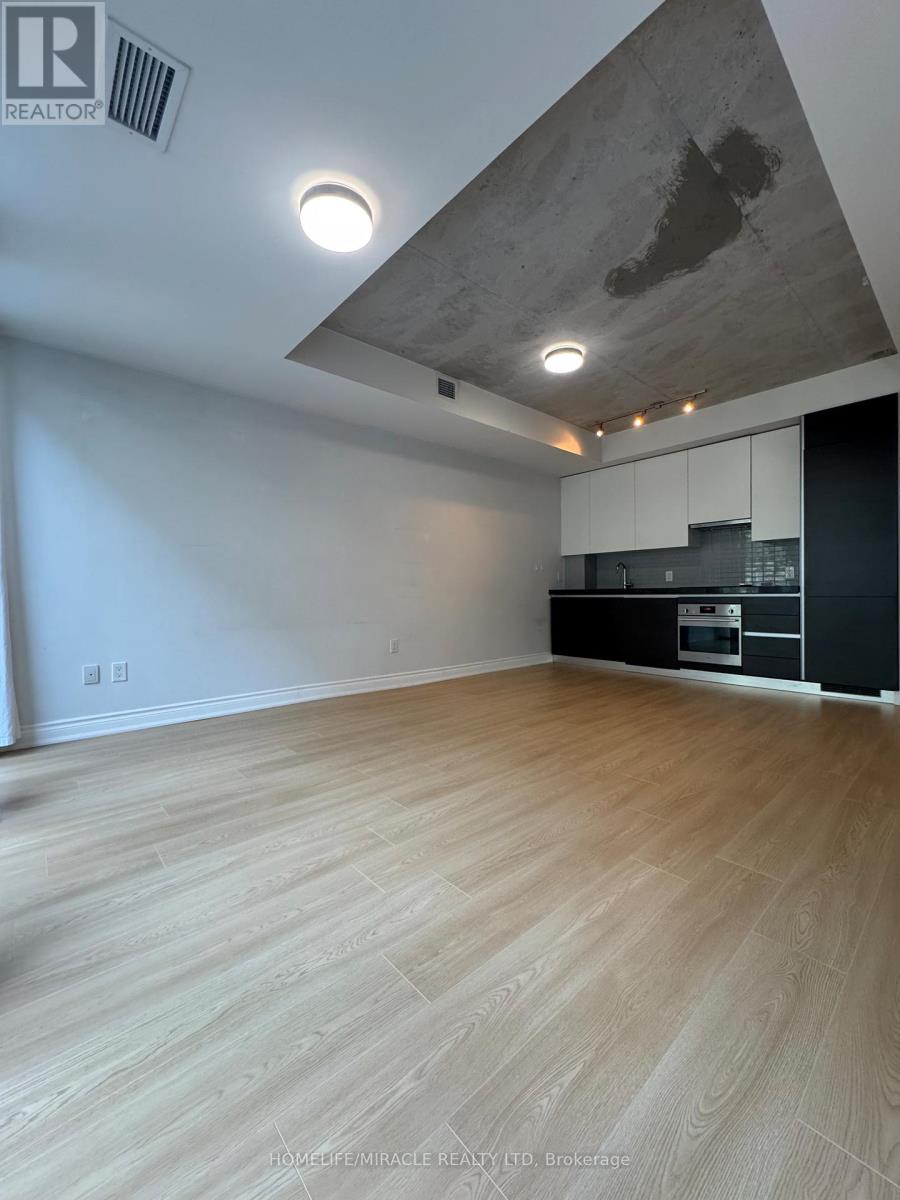 204 - 38 Stewart Street, Toronto, Ontario  M5V 0H1 - Photo 6 - C12613544