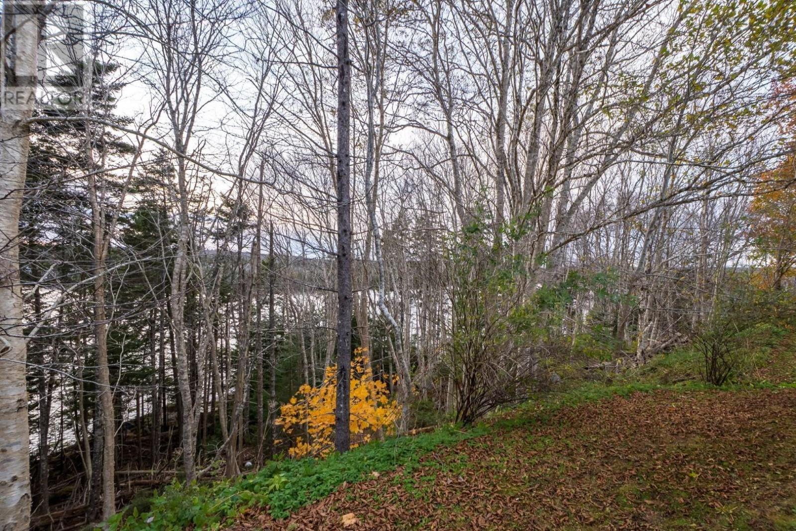 57 Moody Park Drive, Williamswood, Nova Scotia  B3V 1B8 - Photo 40 - 202527588