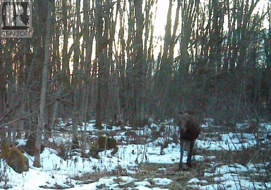 0 Raymond Road, South Stormont, Ontario  K0C 1Y0 - Photo 11 - X12613674