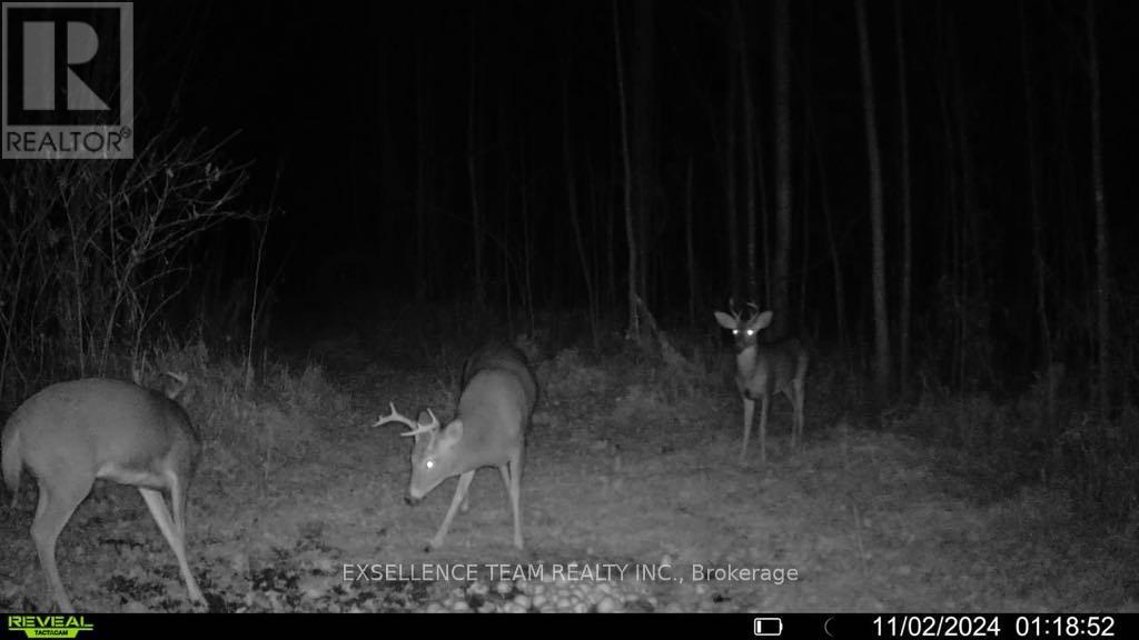 0 Raymond Road, South Stormont, Ontario  K0C 1Y0 - Photo 13 - X12613674