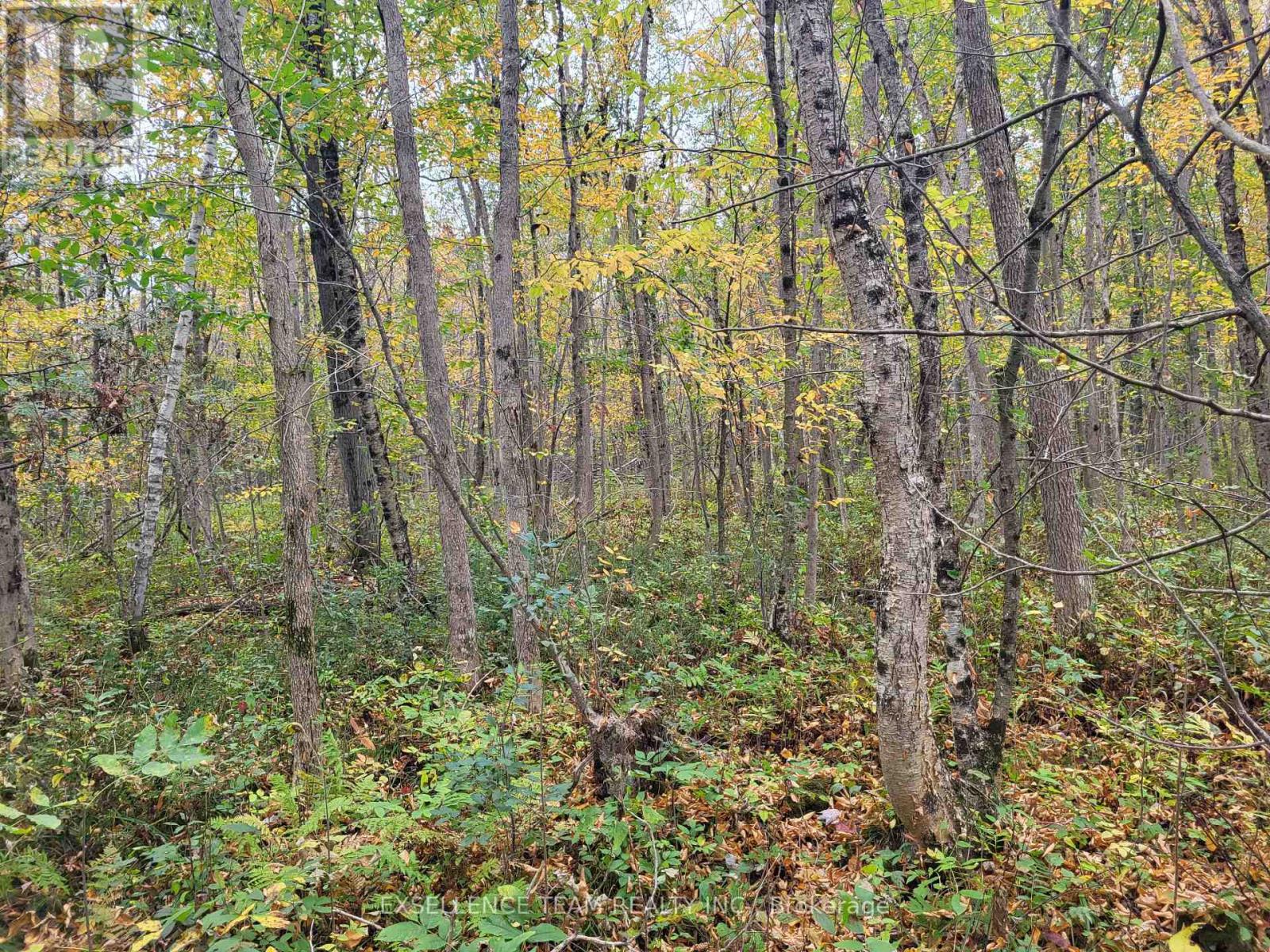 0 Raymond Road, South Stormont, Ontario  K0C 1Y0 - Photo 19 - X12613674