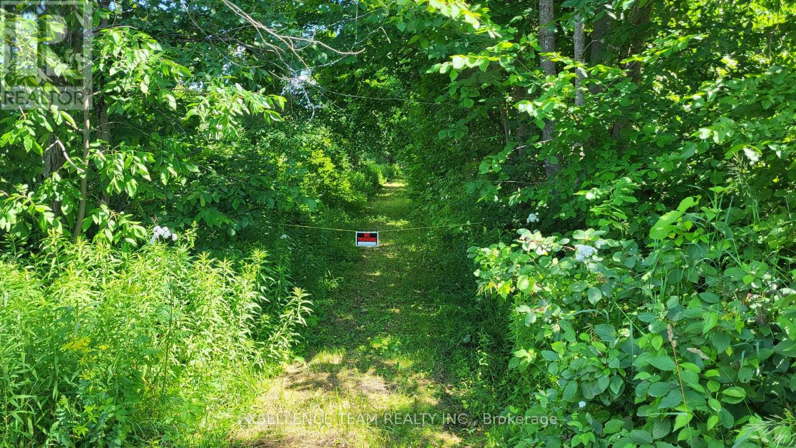 0 Raymond Road, South Stormont, Ontario  K0C 1Y0 - Photo 2 - X12613674