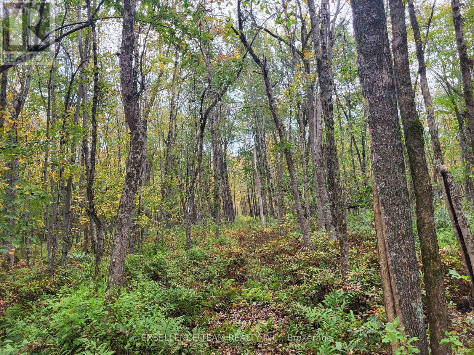 0 Raymond Road, South Stormont, Ontario  K0C 1Y0 - Photo 26 - X12613674