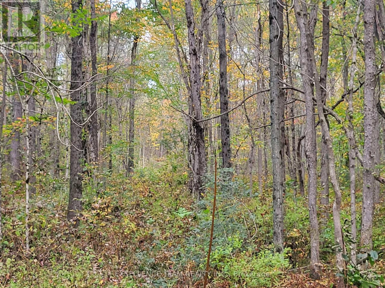 0 Raymond Road, South Stormont, Ontario  K0C 1Y0 - Photo 29 - X12613674