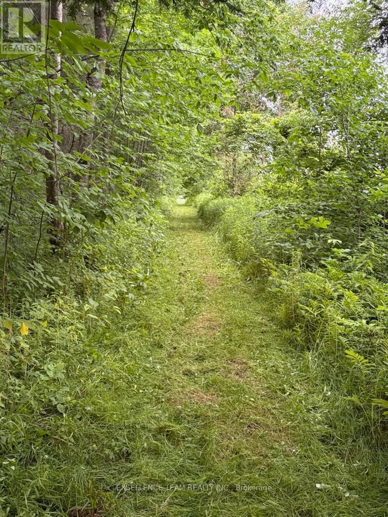 0 Raymond Road, South Stormont, Ontario  K0C 1Y0 - Photo 3 - X12613674