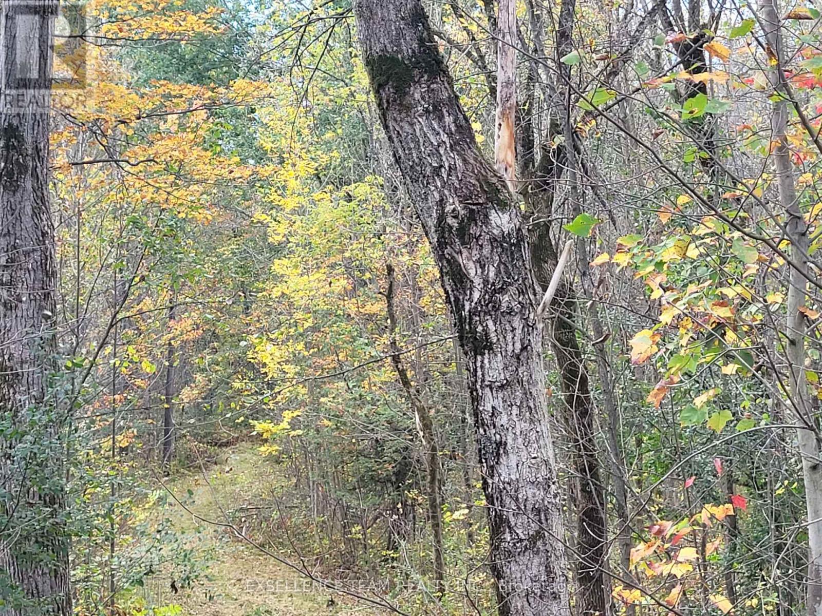 0 Raymond Road, South Stormont, Ontario  K0C 1Y0 - Photo 31 - X12613674