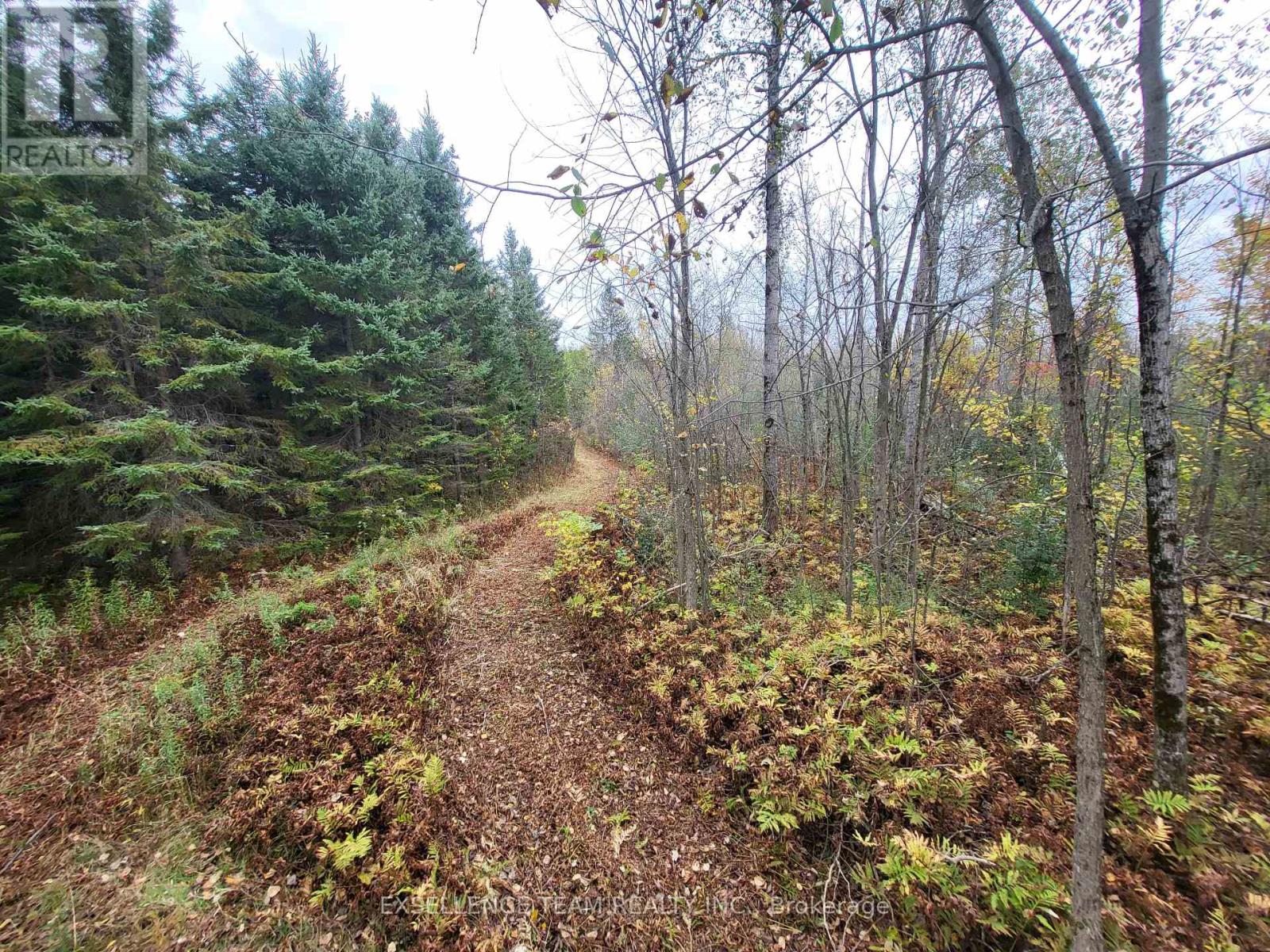 0 Raymond Road, South Stormont, Ontario  K0C 1Y0 - Photo 34 - X12613674