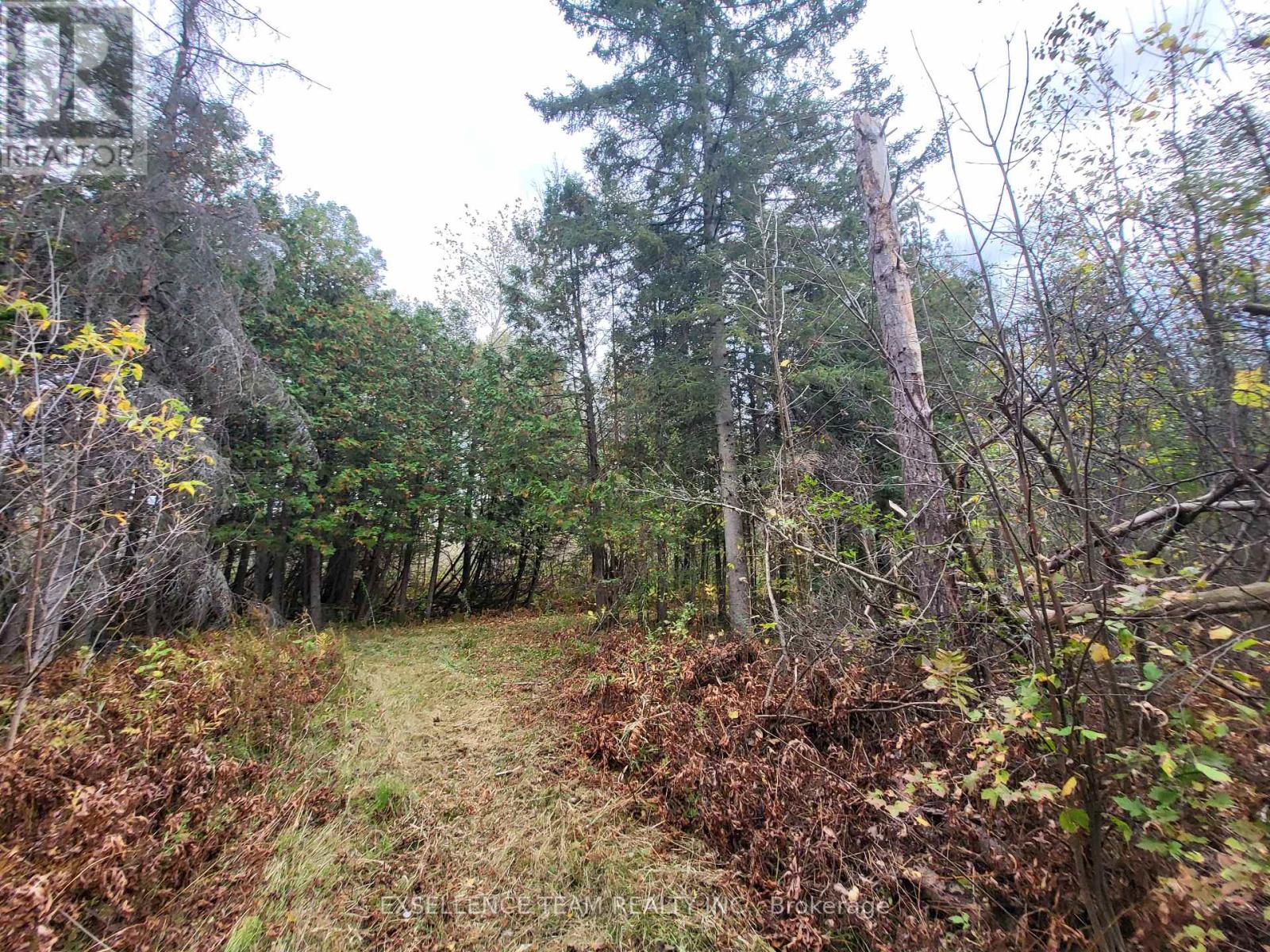 0 Raymond Road, South Stormont, Ontario  K0C 1Y0 - Photo 36 - X12613674