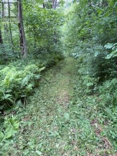 0 Raymond Road, South Stormont, Ontario  K0C 1Y0 - Photo 7 - X12613674