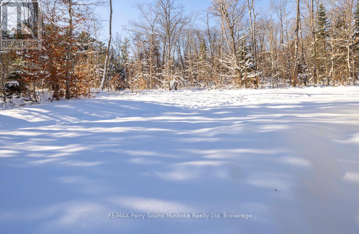 17 - 25 Seguin Place, Seguin (Humphrey), Ontario  P2A 1B2 - Photo 24 - X12613754