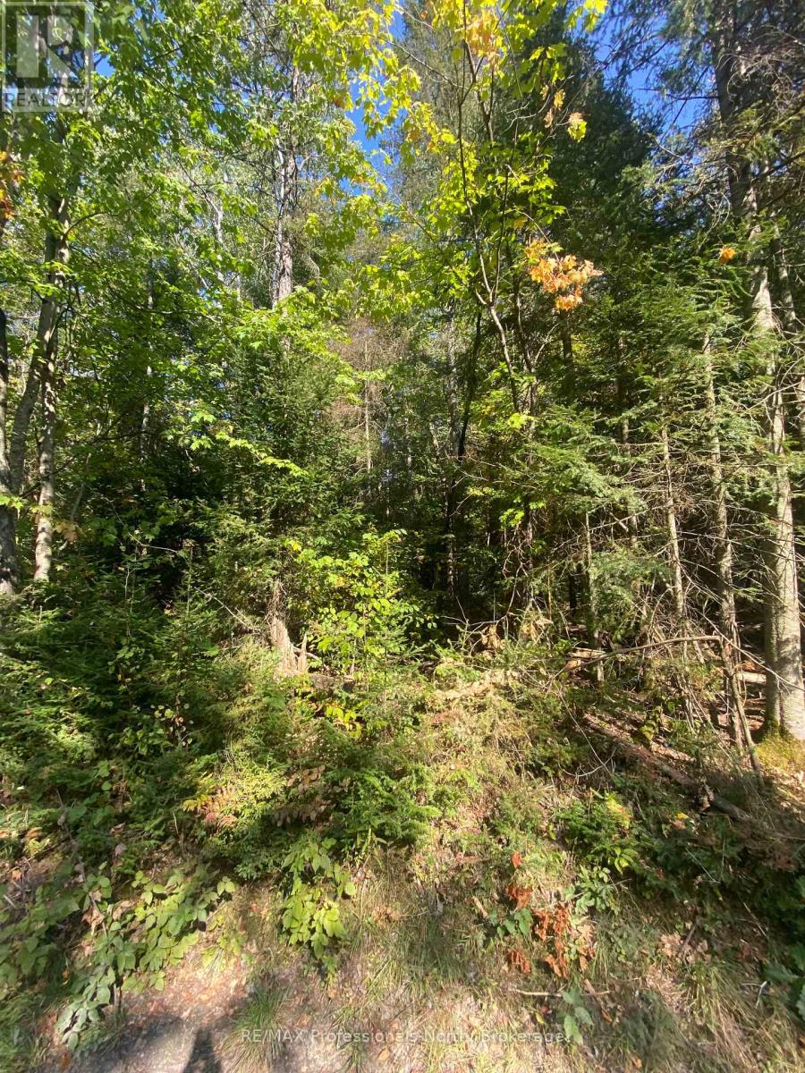 0-1 So Ho Mish Road, Perry, Ontario P0A 1J0 - Photo 3 - X12613760