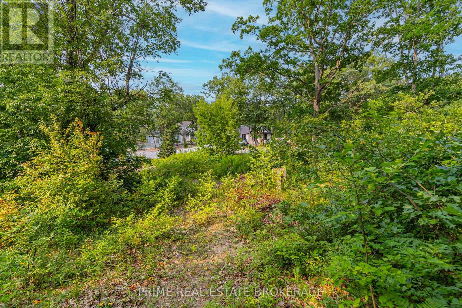 10142 Pinery Bluffs Road, Lambton Shores, Ontario  N0M 1T0 - Photo 29 - X12355902