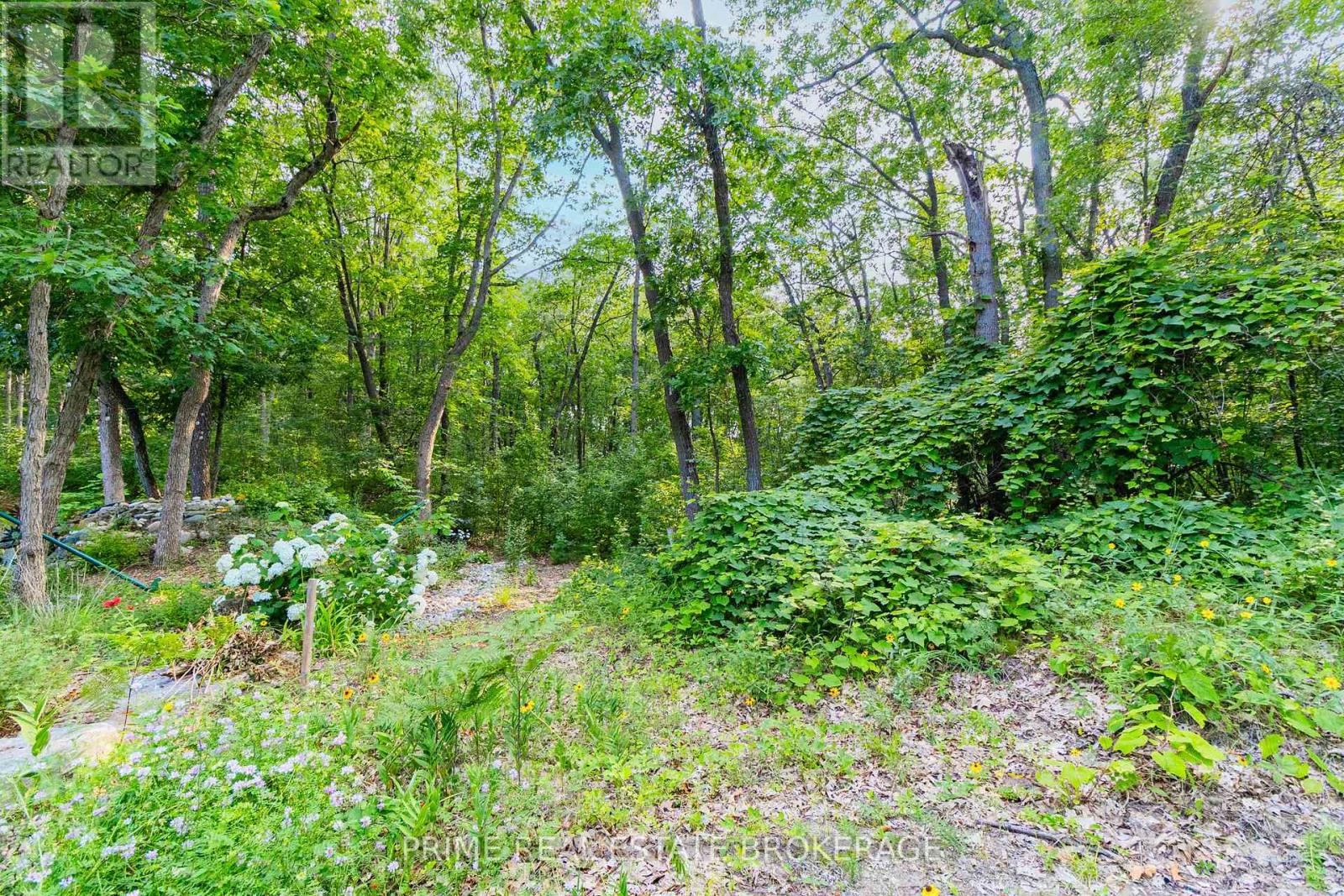 10142 Pinery Bluffs Road, Lambton Shores, Ontario  N0M 1T0 - Photo 26 - X12355902