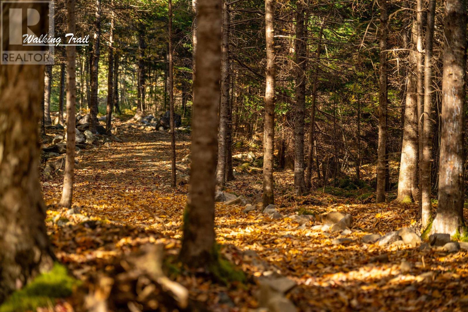 Lot 12 Croft Road, Chester Basin, Nova Scotia B0J 1K0 - Photo 14 - 202529112