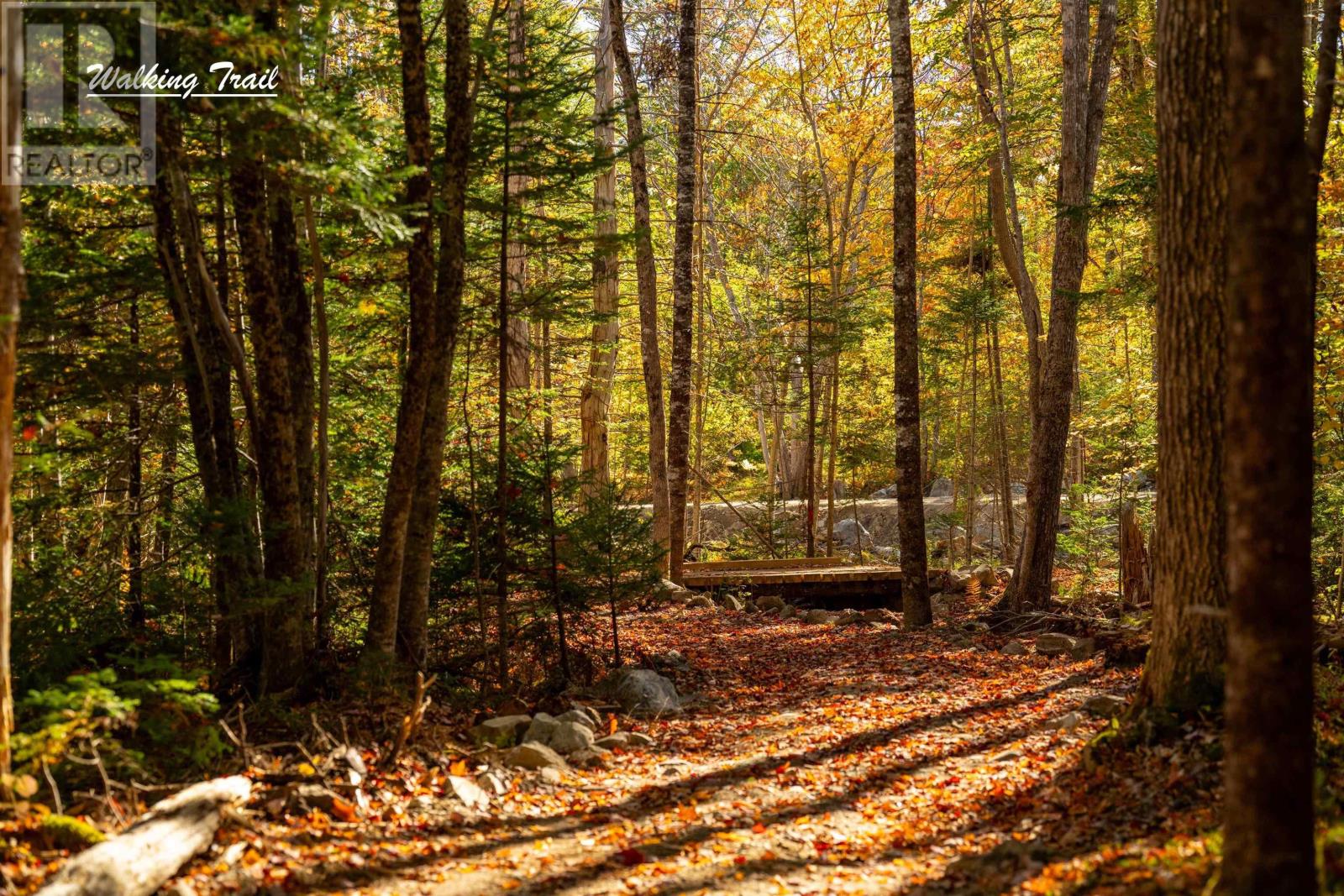 Lot 12 Croft Road, Chester Basin, Nova Scotia B0J 1K0 - Photo 15 - 202529112