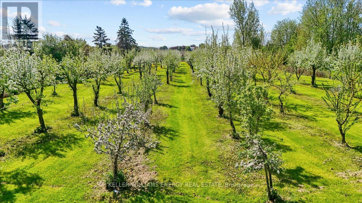 2263 Hwy 2 Highway, Clarington, Ontario  L1C 3K7 - Photo 22 - E12376933