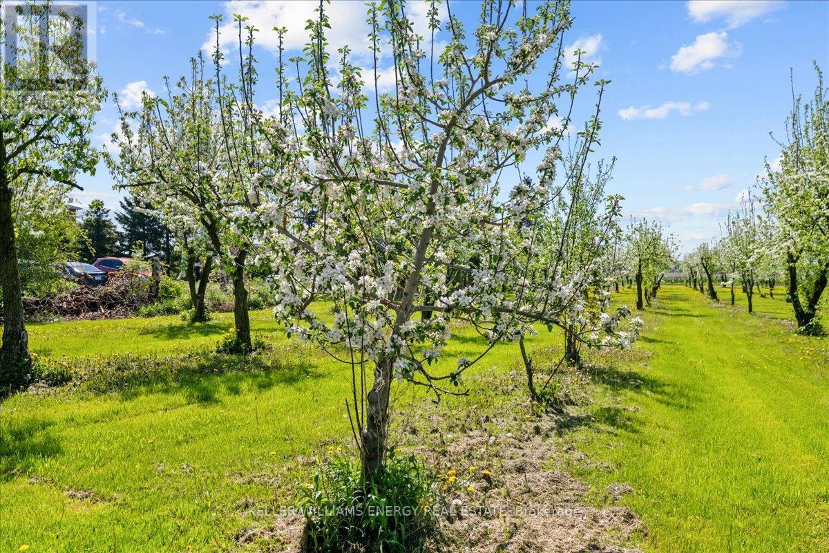 2263 Hwy 2 Highway, Clarington, Ontario  L1C 3K7 - Photo 23 - E12376933