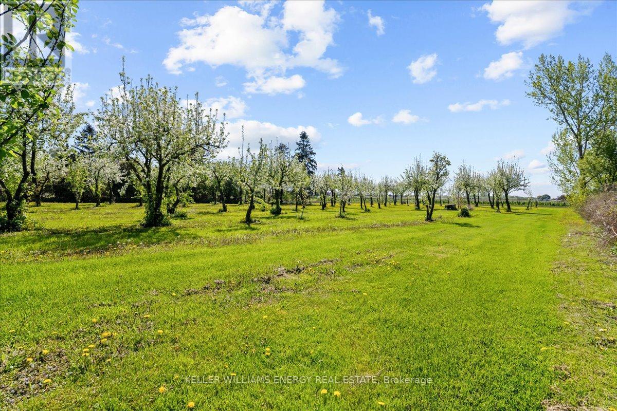 2263 Hwy 2 Highway, Clarington, Ontario  L1C 3K7 - Photo 26 - E12376933