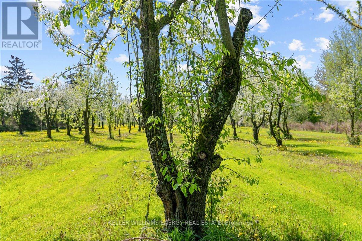 2263 Hwy 2 Highway, Clarington, Ontario  L1C 3K7 - Photo 24 - E12376943