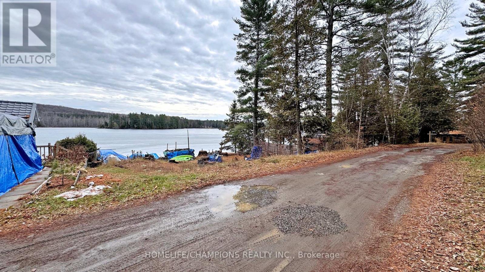 1038 Pike Lane, Dysart Et Al, Ontario  K0M 1S0 - Photo 8 - X12613856