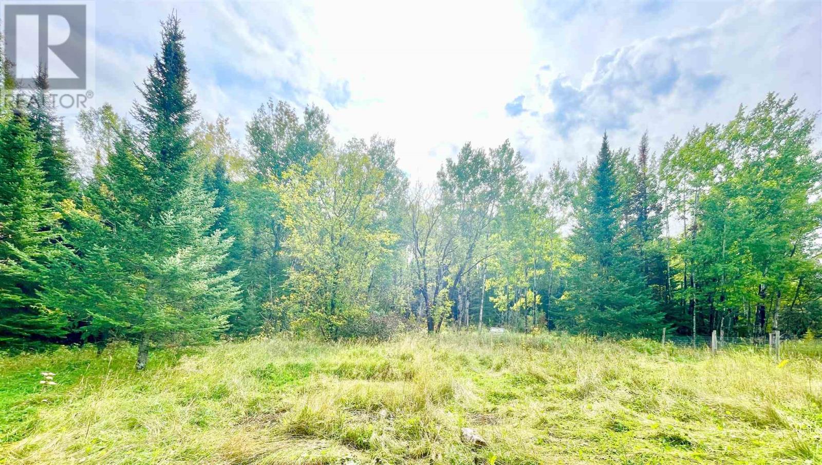 508 Hwy 594, Machin, Ontario  P0V 1S0 - Photo 4 - TB253439