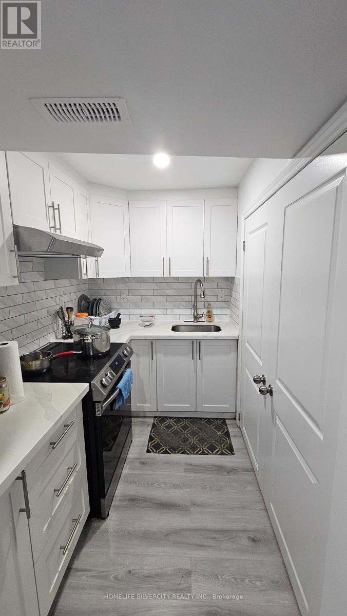 Basement - 194 Eaglecrest Street, Kitchener, Ontario  N2K 4J3 - Photo 10 - X12613922