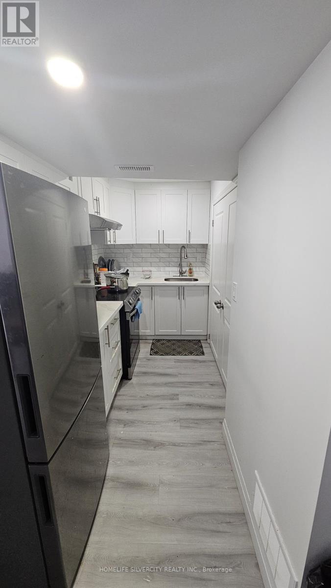 Basement - 194 Eaglecrest Street, Kitchener, Ontario  N2K 4J3 - Photo 11 - X12613922