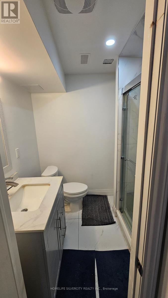 Basement - 194 Eaglecrest Street, Kitchener, Ontario  N2K 4J3 - Photo 16 - X12613922