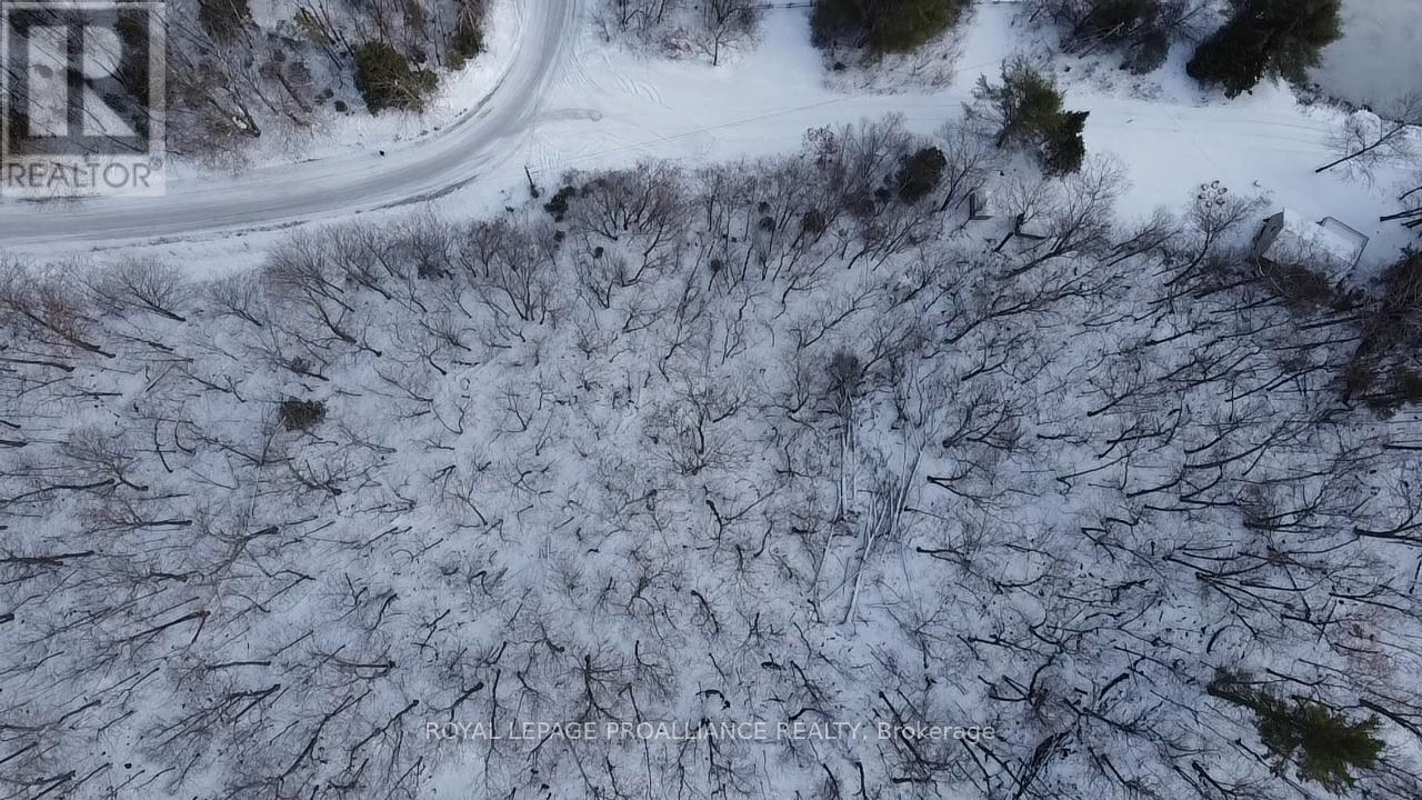 0000 Little Finch Lake Road, Addington Highlands, Ontario K0H 1K0 - Photo 9 - X12579088
