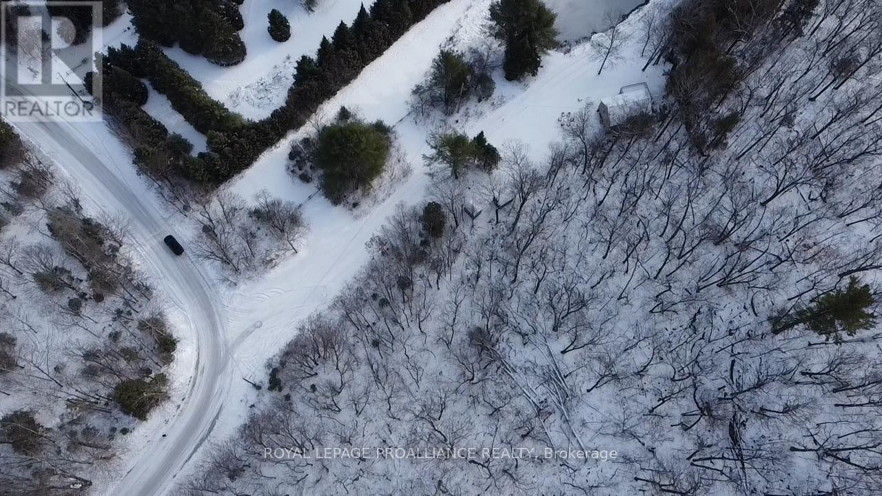 0000 Little Finch Lake Road, Addington Highlands, Ontario K0H 1K0 - Photo 11 - X12579088