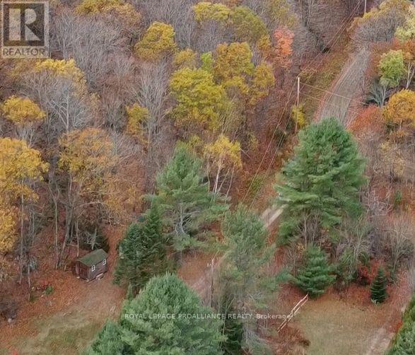 0000 Little Finch Lake Road, Addington Highlands, Ontario K0H 1K0 - Photo 17 - X12579088