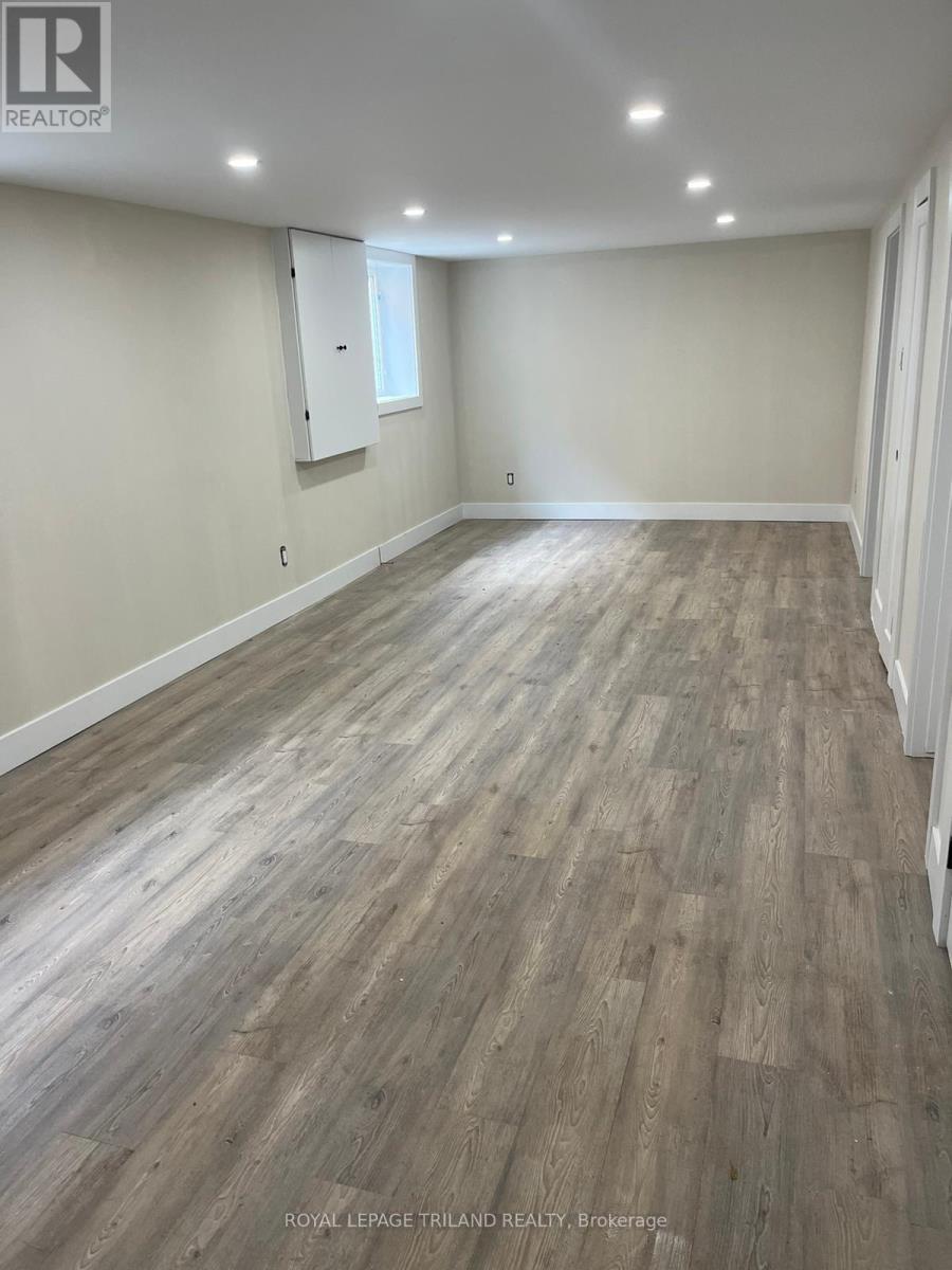Basement - 1072 Jalna Boulevard, London South, Ontario  N6E 2J5 - Photo 4 - X12614006