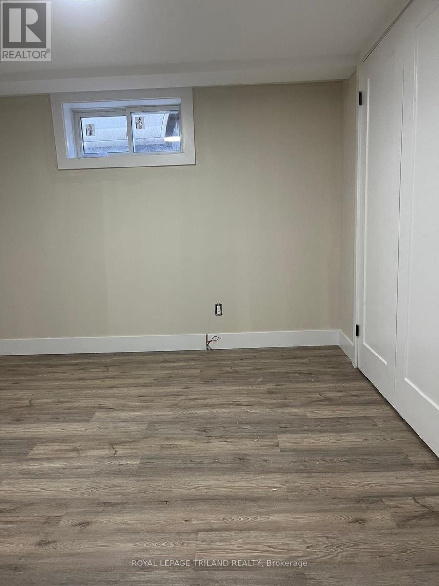 Basement - 1072 Jalna Boulevard, London South, Ontario  N6E 2J5 - Photo 5 - X12614006