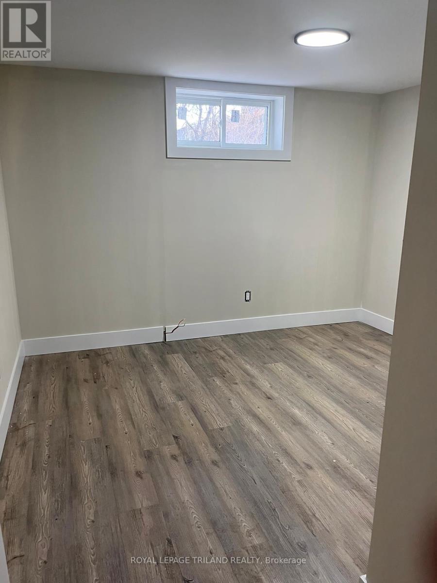 Basement - 1072 Jalna Boulevard, London South, Ontario  N6E 2J5 - Photo 7 - X12614006