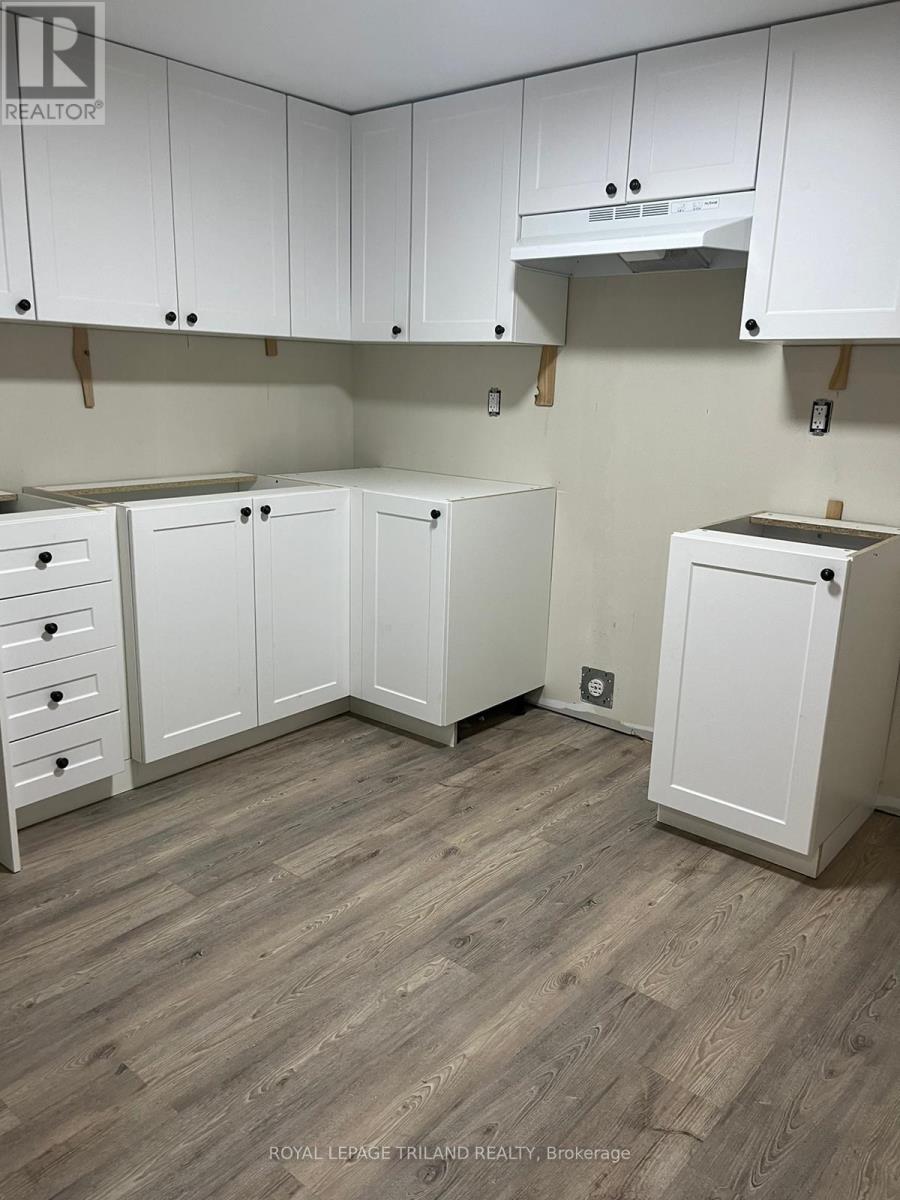 Basement - 1072 Jalna Boulevard, London South, Ontario  N6E 2J5 - Photo 8 - X12614006