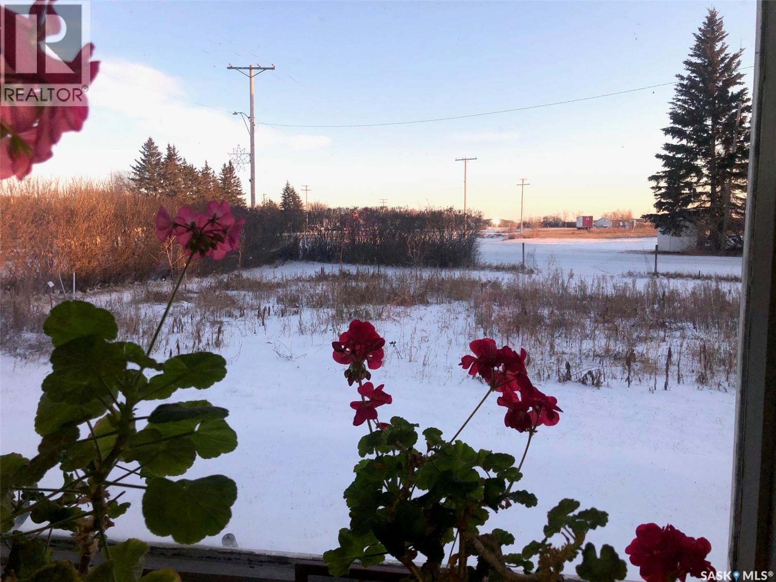 441 1st Avenue Se, Sturgis, Saskatchewan  S0A 4A0 - Photo 17 - SK025425