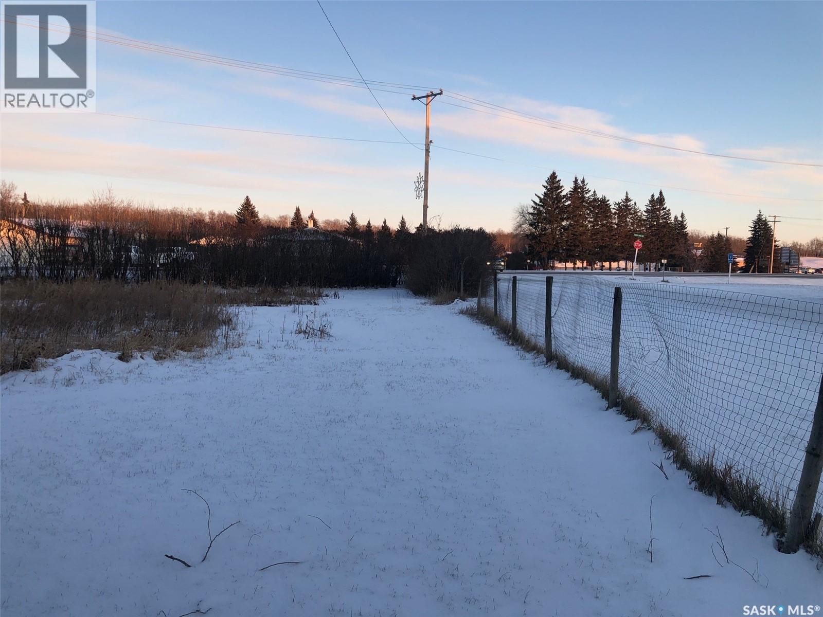 441 1st Avenue Se, Sturgis, Saskatchewan  S0A 4A0 - Photo 9 - SK025425
