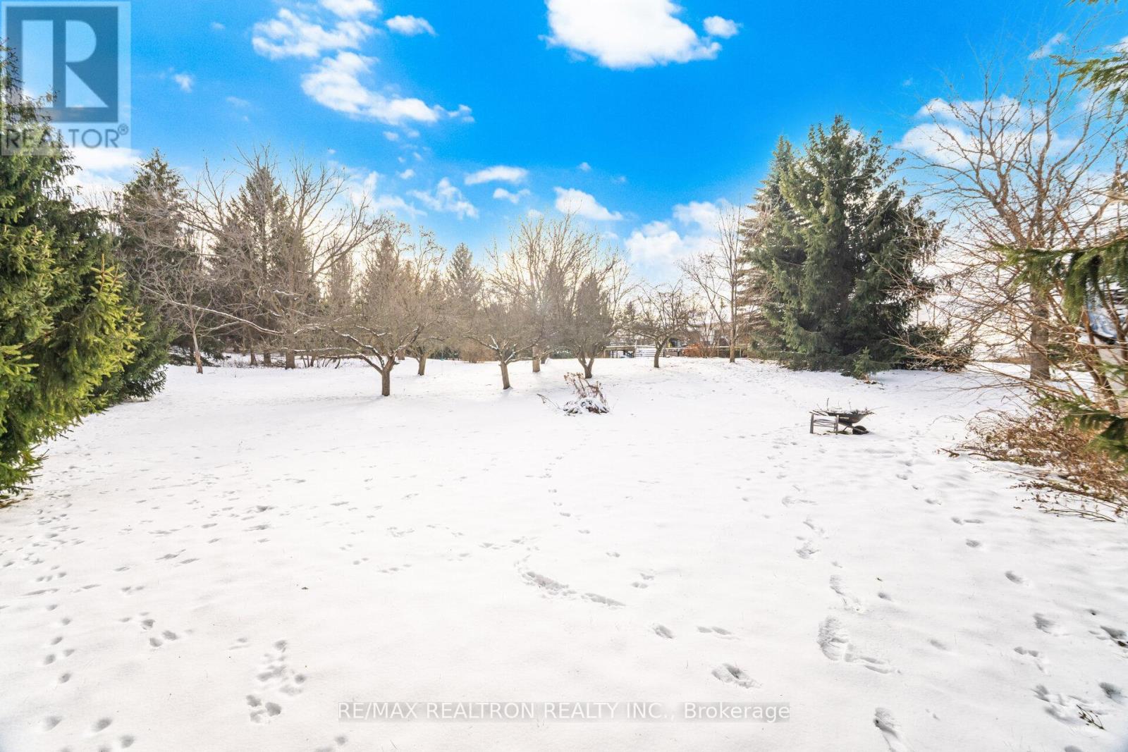 17145 Caledon King Townline N, King, Ontario  L0G 1W0 - Photo 32 - W12614042