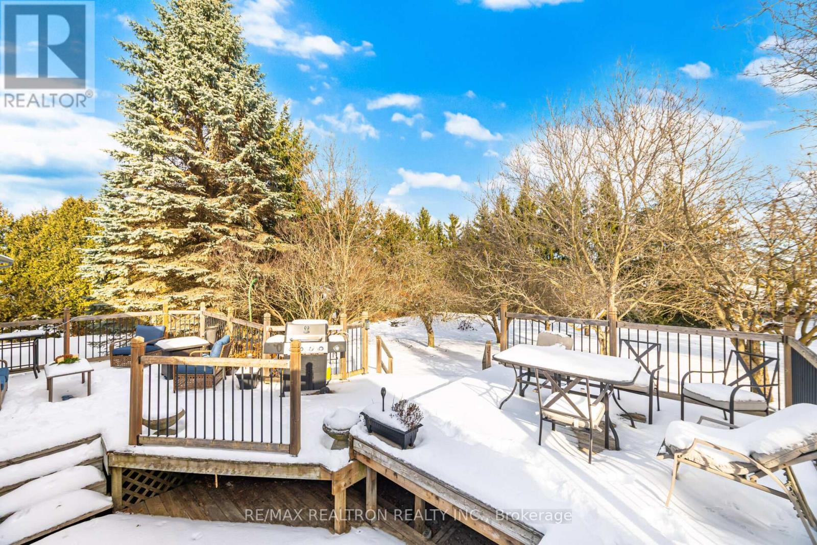 17145 Caledon King Townline N, King, Ontario  L0G 1W0 - Photo 34 - W12614042