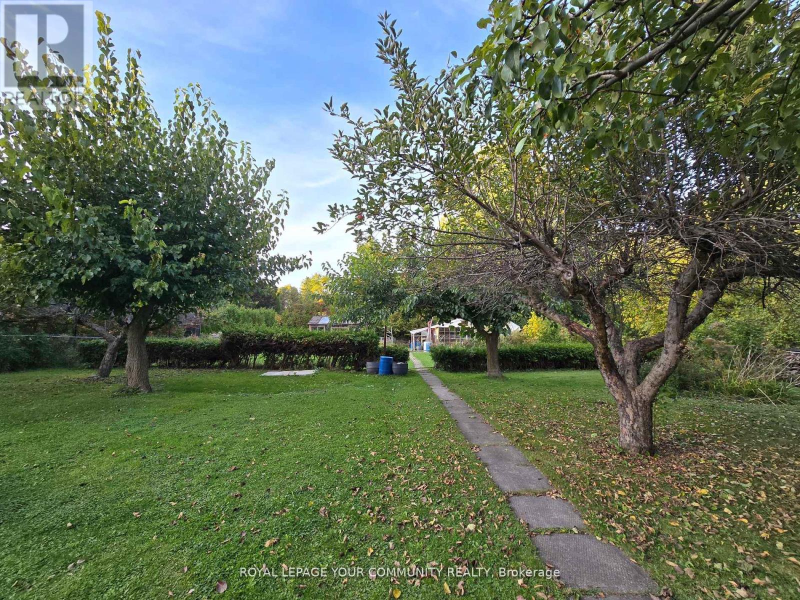 100 Langstaff Road, Richmond Hill, Ontario  L4C 6N3 - Photo 7 - N12614250