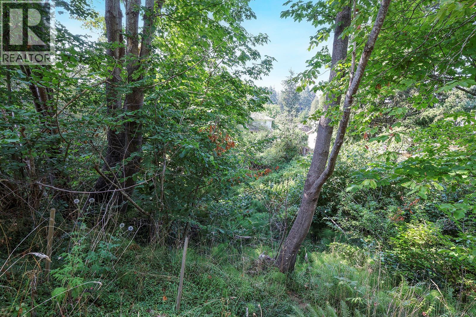 1185 5th St, Courtenay, British Columbia V9N 1L7 - Photo 30 - 1014696