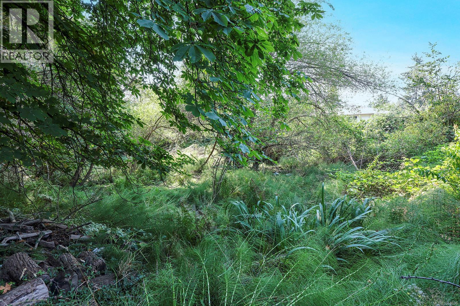 1185 5th St, Courtenay, British Columbia V9N 1L7 - Photo 32 - 1014696