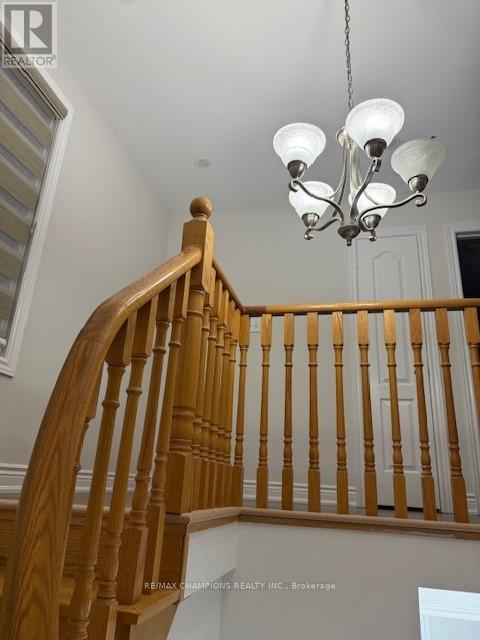 13 Sahara Trail, Brampton, Ontario  L6R 1P2 - Photo 17 - W12549654