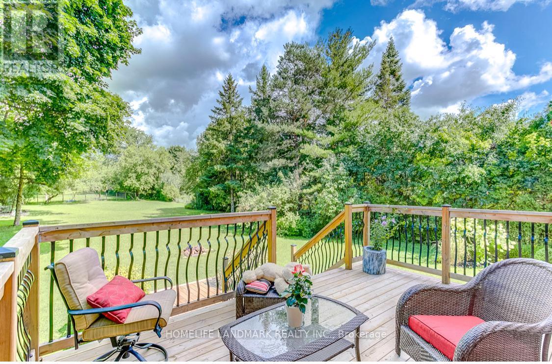 156 Duncan Road, Richmond Hill, Ontario  L4C 6J8 - Photo 31 - N12612768